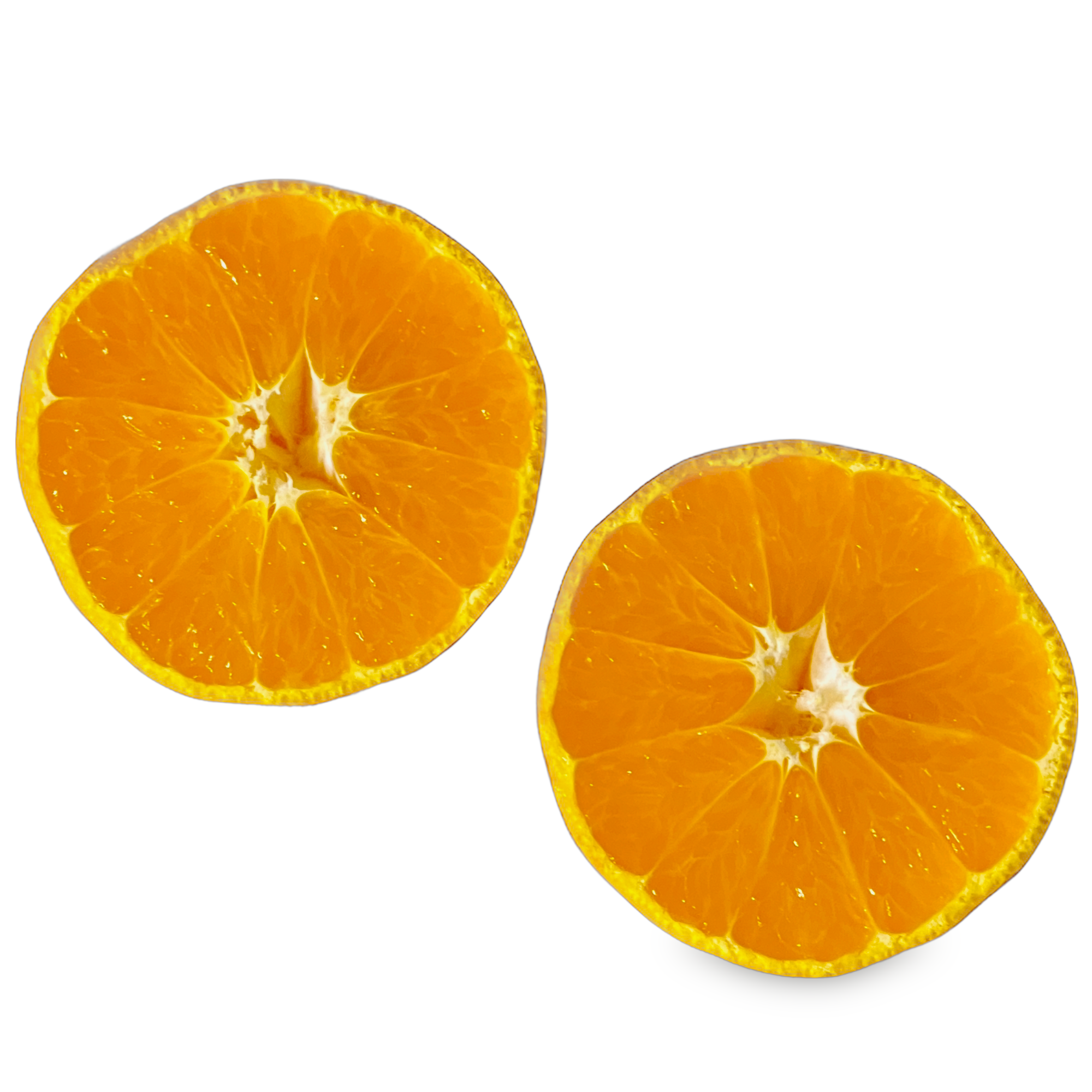 柑橘類のフィトケミカル